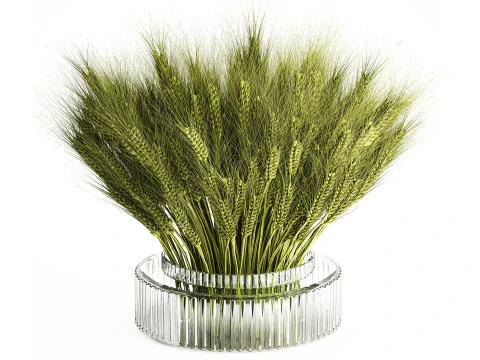 Green floral bouquet of wheat ears in a glass vase 610 3D Model