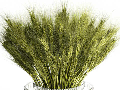 Green floral bouquet of wheat ears in a glass vase 610 3D 模型
