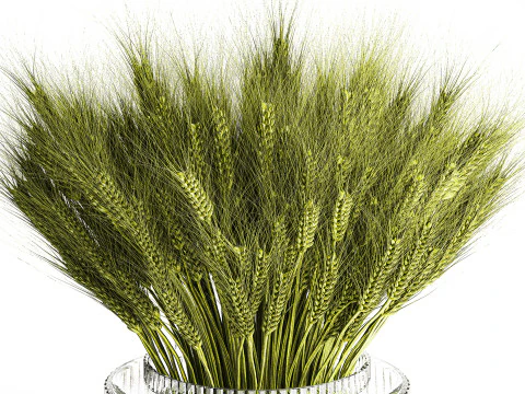 Green floral bouquet of wheat ears in a glass vase 610 3D Model