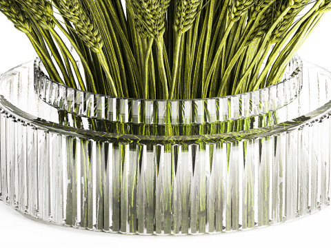 Green floral bouquet of wheat ears in a glass vase 610 3D 模型