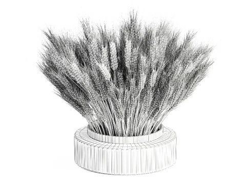 Green floral bouquet of wheat ears in a glass vase 610 3D Model