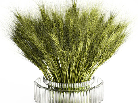 Green floral bouquet of wheat ears in a glass vase 610 3D Model