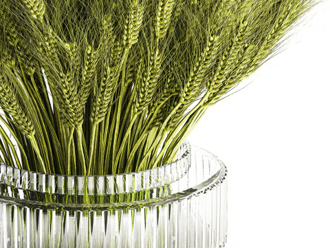 Green floral bouquet of wheat ears in a glass vase 610 3D Model