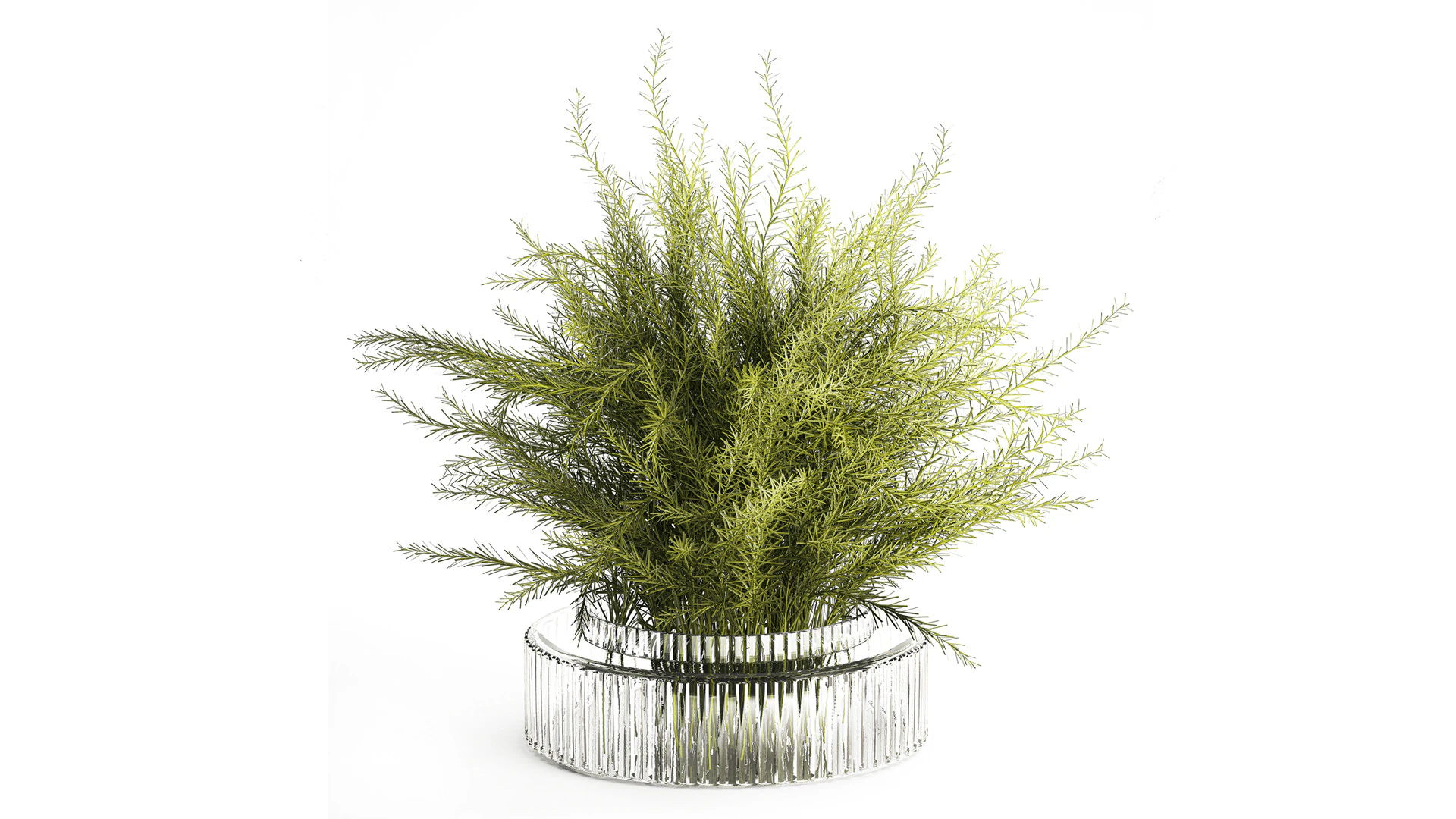 Floral green bouquet Asparagus branches glass vase 611 3D Model .c4d .max .obj .3ds .fbx .stl .blend 