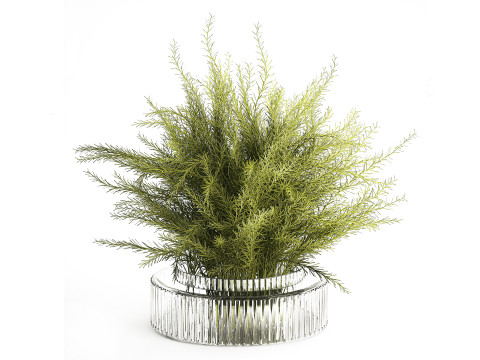 Floral green bouquet Asparagus branches glass vase 611 3D Model