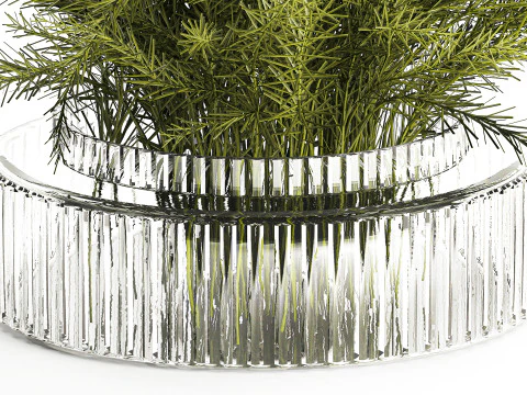 Floral green bouquet Asparagus branches glass vase 611 3D Model