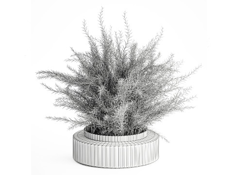 Floral green bouquet Asparagus branches glass vase 611 Model 3D