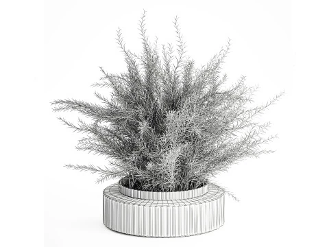 Floral green bouquet Asparagus branches glass vase 611 3D Model