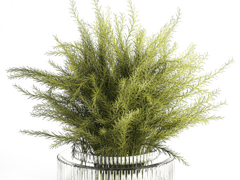 Floral green bouquet Asparagus branches glass vase 611 Model 3D