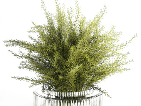 Floral green bouquet Asparagus branches glass vase 611 3D Model
