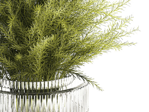 Floral green bouquet Asparagus branches glass vase 611 Model 3D