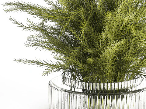 Floral green bouquet Asparagus branches glass vase 611 3D Model