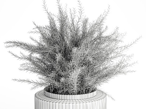 Floral green bouquet Asparagus branches glass vase 611 Model 3D