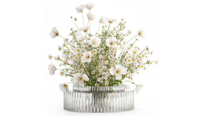 Realistic flower bouquet of white poppy chamomile in glass vase 612 3D Model .c4d .max .obj .3ds .fbx .stl .blend