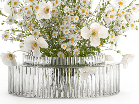 Realistic flower bouquet of white poppy chamomile in glass vase 612 3D Model