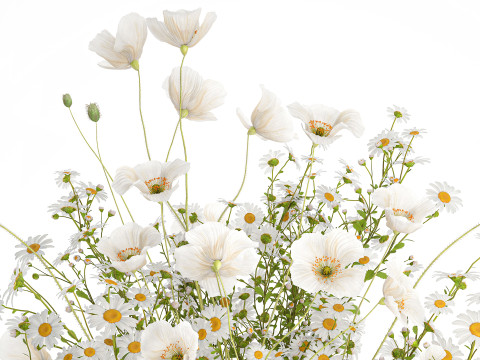 Realistic flower bouquet of white poppy chamomile in glass vase 612 3D 模型