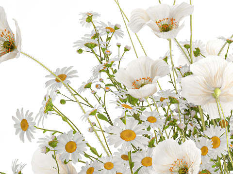 Realistic flower bouquet of white poppy chamomile in glass vase 612 3D 模型