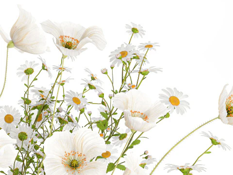 Realistic flower bouquet of white poppy chamomile in glass vase 612 3D Model