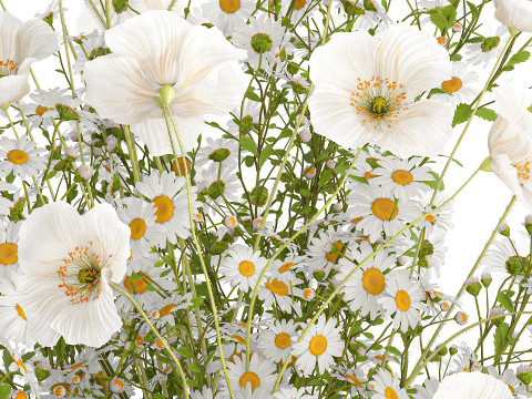 Realistic flower bouquet of white poppy chamomile in glass vase 612 3D 模型