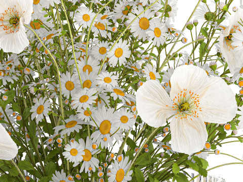 Realistic flower bouquet of white poppy chamomile in glass vase 612 3D 模型