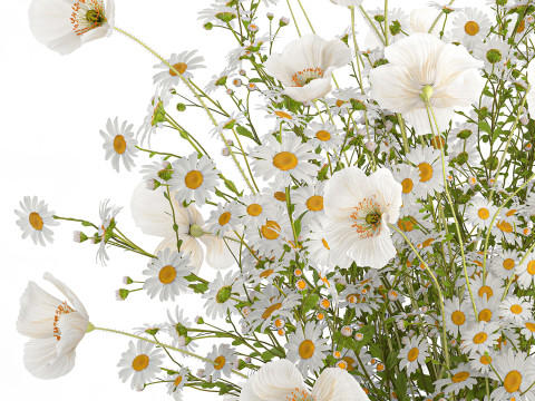Realistic flower bouquet of white poppy chamomile in glass vase 612 3D 模型