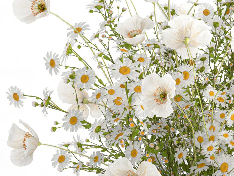 Realistic flower bouquet of white poppy chamomile in glass vase 612 3D Model