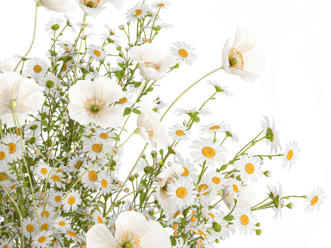 Realistic flower bouquet of white poppy chamomile in glass vase 612 3D 模型