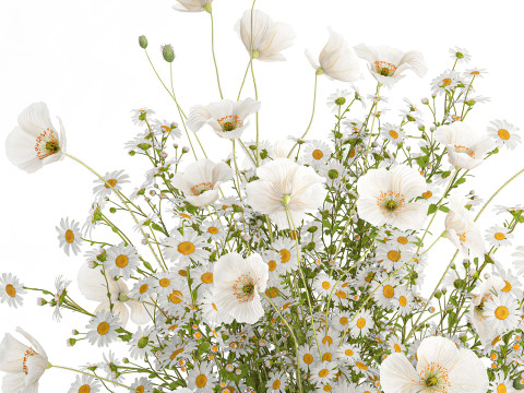 Realistic flower bouquet of white poppy chamomile in glass vase 612 3D 模型