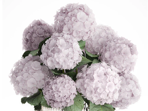 Modern Realistic Bouquet Vase Lilac Pink Hydrange 613 3D Model