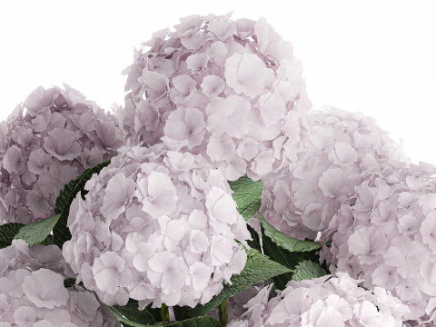Modern Realistic Bouquet Vase Lilac Pink Hydrange 613 3D Model
