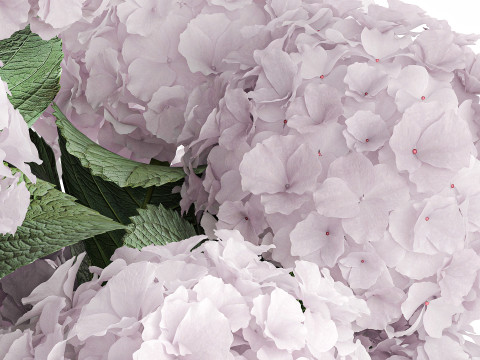 Modern Realistic Bouquet Vase Lilac Pink Hydrange 613 3Dモデル