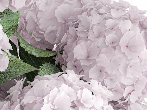 Modern Realistic Bouquet Vase Lilac Pink Hydrange 613 3D Model