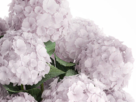 Modern Realistic Bouquet Vase Lilac Pink Hydrange 613 3D Model