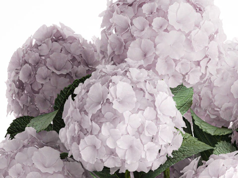 Modern Realistic Bouquet Vase Lilac Pink Hydrange 613 3D Model
