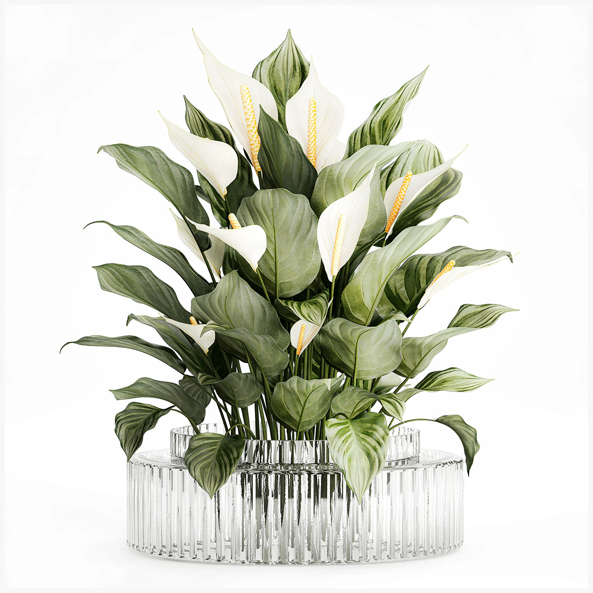 Realistic Bouquet Vase Green Leaves Spathiphyllum 614 3D Model .c4d .max .obj .3ds .fbx .stl .blend 