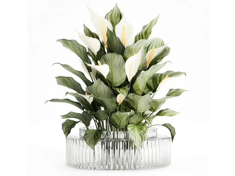 Realistic Bouquet Vase Green Leaves Spathiphyllum 614 3D Model