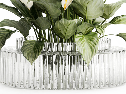 Realistic Bouquet Vase Green Leaves Spathiphyllum 614 3D 模型
