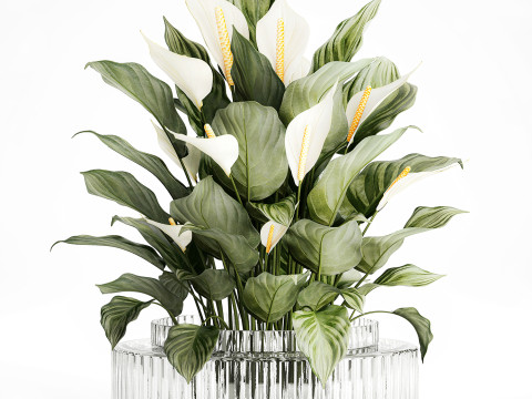 Realistic Bouquet Vase Green Leaves Spathiphyllum 614 3D 模型
