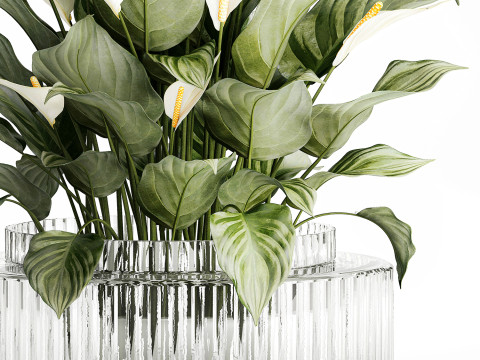 Realistic Bouquet Vase Green Leaves Spathiphyllum 614 3D 模型