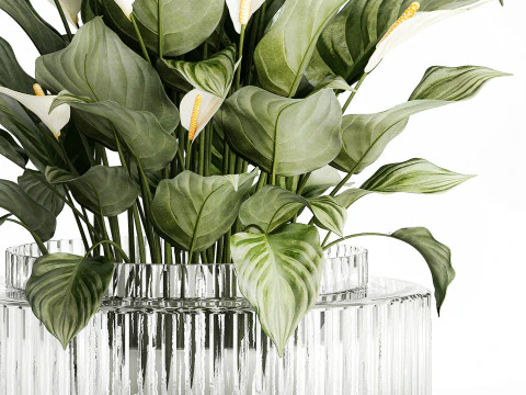 Realistic Bouquet Vase Green Leaves Spathiphyllum 614 3D Model