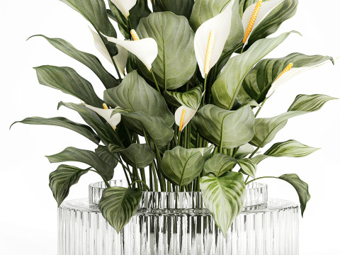 Realistic Bouquet Vase Green Leaves Spathiphyllum 614 3D 模型