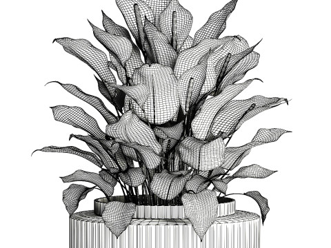 Realistic Bouquet Vase Green Leaves Spathiphyllum 614 3D 模型