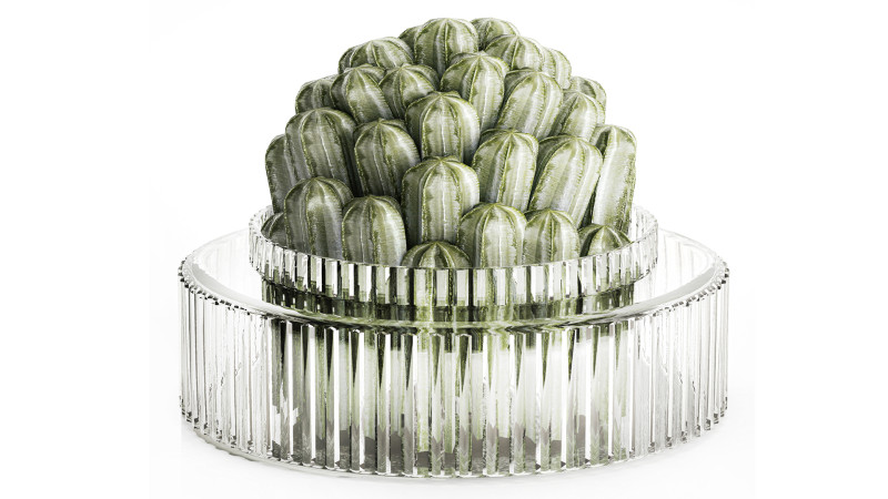 Bouquet Flowers Realistic Cactus minimalist Modern Vase 615 Model 3D .c4d .max .obj .3ds .fbx .stl .blend