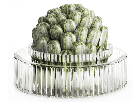 Bouquet Flowers Realistic Cactus minimalist Modern Vase 615 Modello 3D