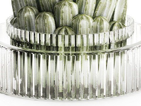 Bouquet Flowers Realistic Cactus minimalist Modern Vase 615 3D 모델