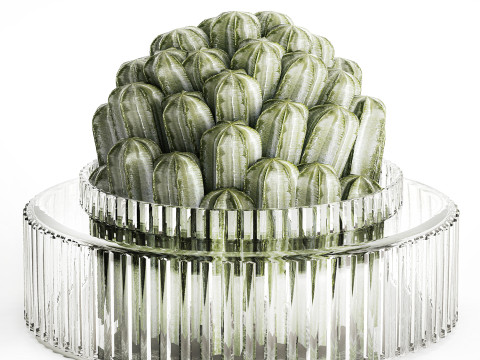Bouquet Flowers Realistic Cactus minimalist Modern Vase 615 3D 모델