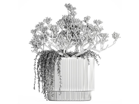 Bouquet Realistic Succulent Flowers Modern Vase 616 3D Model