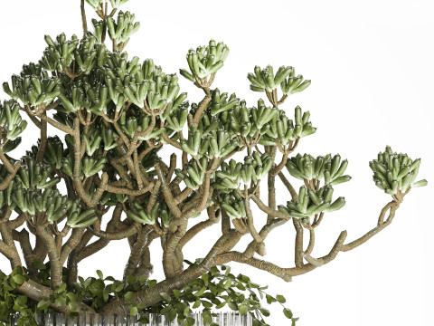 Bouquet Realistic Succulent Flowers Modern Vase 616 3D Model