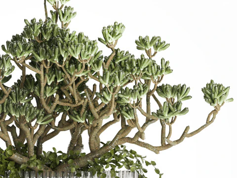 Bukiet Realistyczne Soczyste Kwiaty Nowoczesny Wazon 616 Model 3D