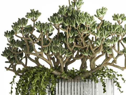 Bouquet Realistic Succulent Flowers Modern Vase 616 3D Model